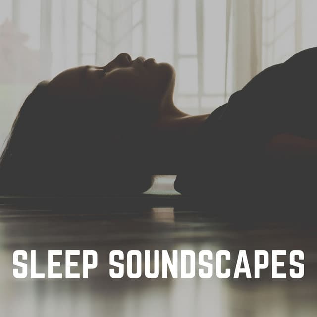 Sleep Soundscapes - Sleep Meditation Dream Catcher