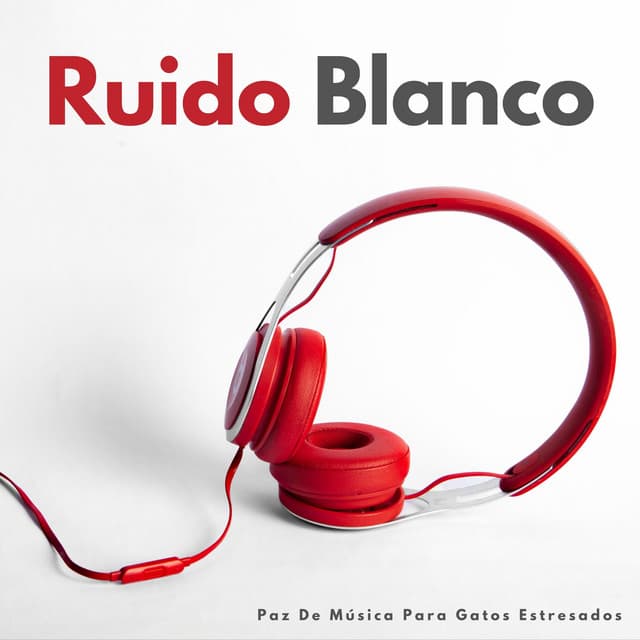 Ruido Blanco: Paz De Música Para Gatos Estresados - Ruido Branco