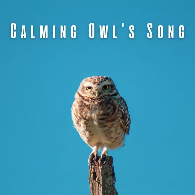Relaxation Noisy Tones