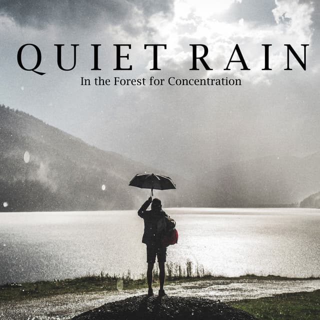 Quiet Rain in the Forest for Concentration - Study Music & Sounds