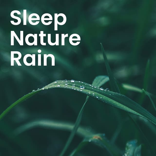 Nature's Healing Touch: Soothing Sounds for Sleep & Relaxation - Natural Healing Music Zone