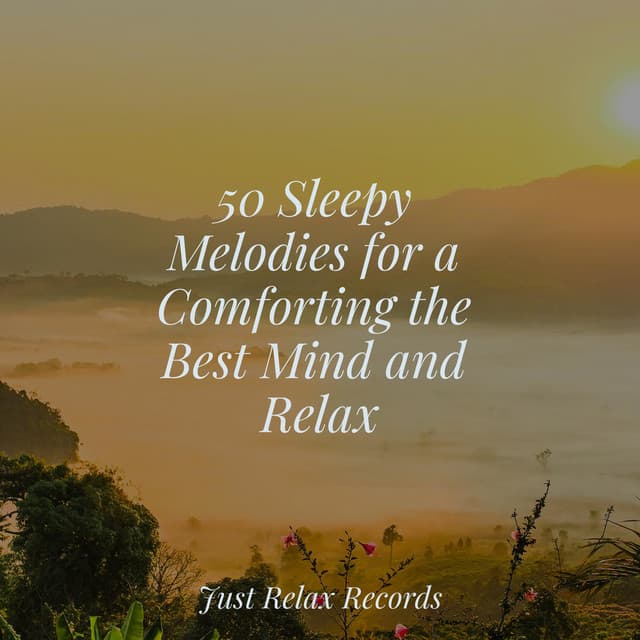 50 Sleepy Melodies for a Comforting the Best Mind and Relax - Japanese Relaxation and Meditation