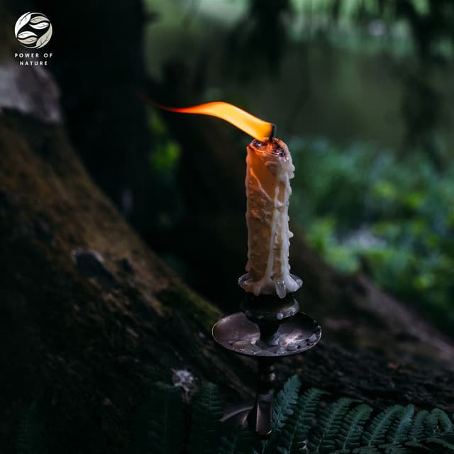 Piano And Wind In The Enchanted Forest - Mystic Haven