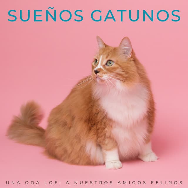 Sueños Gatunos: Una Oda Lofi A Nuestros Amigos Felinos - Flor de Loto
