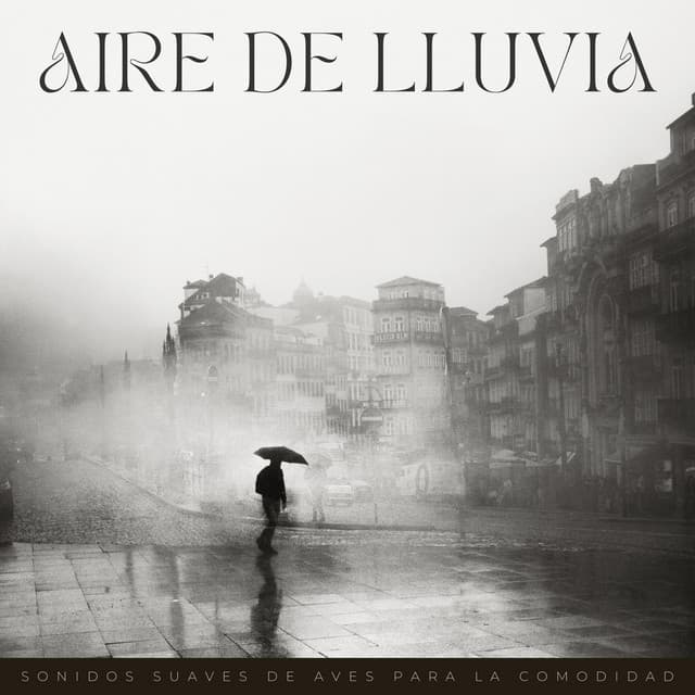 Aire De Lluvia: Sonidos Suaves De Aves Para La Comodidad - Suave al aire libre