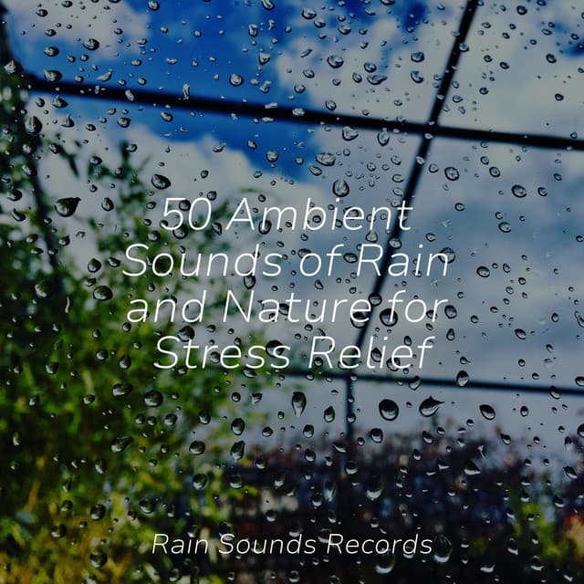 50 Ambient Sounds of Rain and Nature for Stress Relief - Shakuhachi Sakano