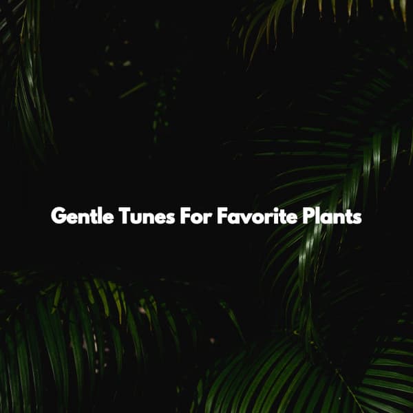 Gentle Tunes For Favorite Plants - Jazz Rilassante Playlist