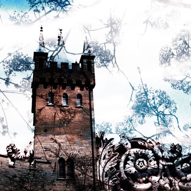 Neo-Classical Acoustic Endeavor - Benjamin Starnberg