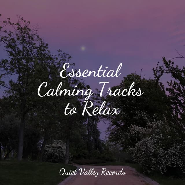 Essential Calming Tracks to Relax - 125 Nature Sounds