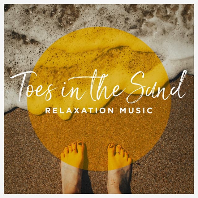 Toes in the Sand Relaxation Music - Relaxation Study Music