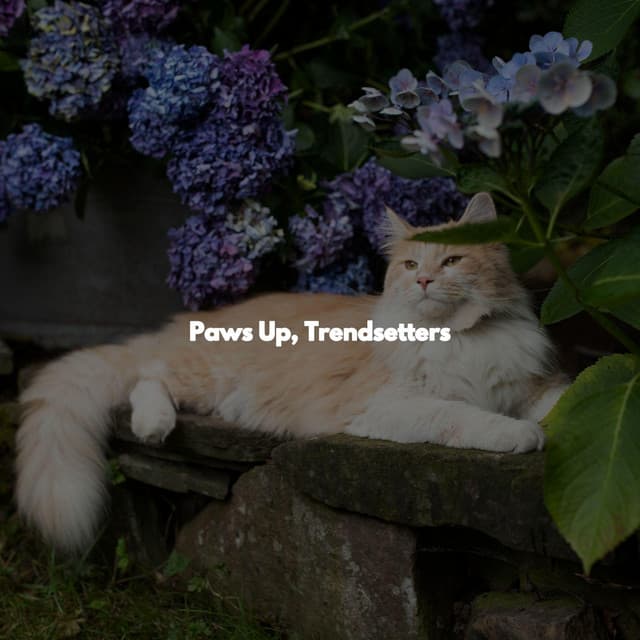 Paws Up, Trendsetters - After Work Jazz Moods