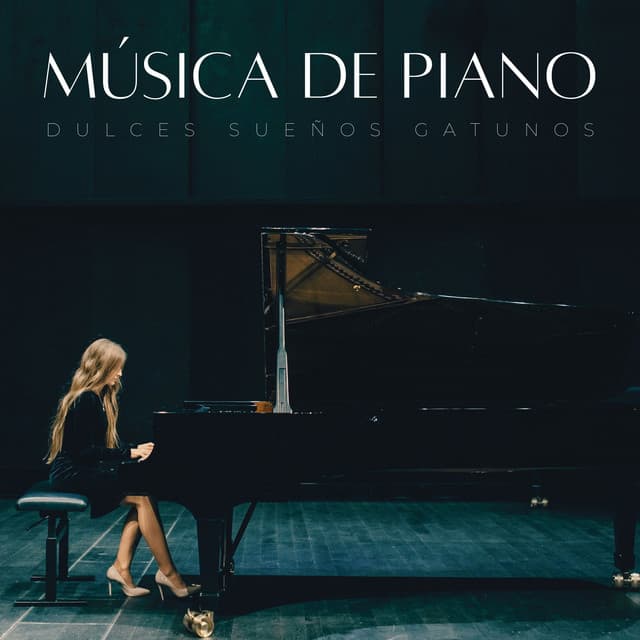 Música De Piano: Dulces Sueños Gatunos - Sonidos de lluvia FX