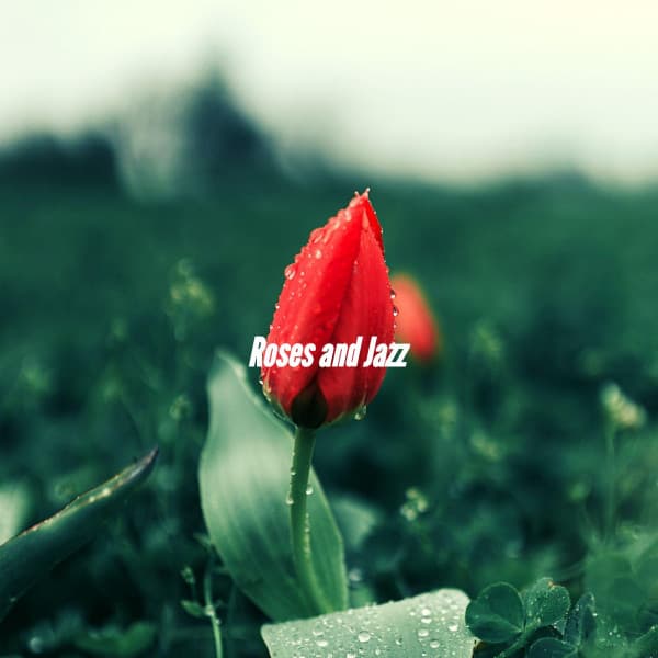 Roses and Jazz - Elevator Jazz Music