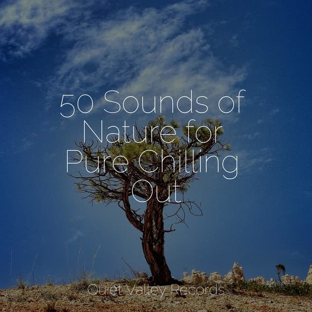 50 Sounds of Nature for Pure Chilling Out - Restless Baby Music