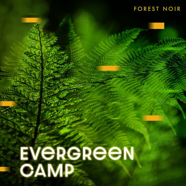Evergreen Camp - Forest Noir