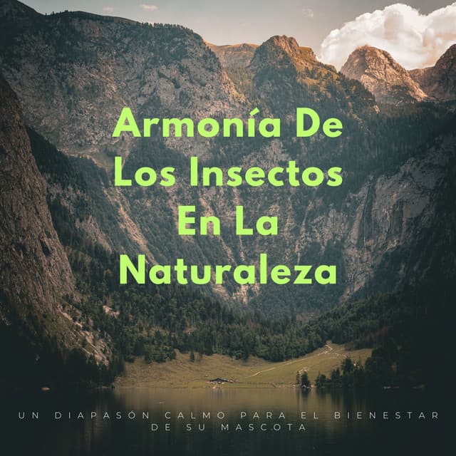 Grabaciones de la naturaleza LBE
