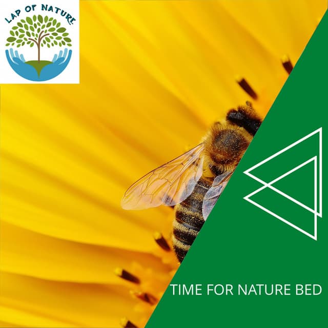 Time for Nature Bed - Calm Music