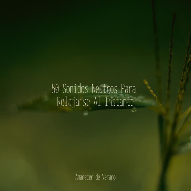 50 Sonidos Neutros Para Relajarse Al Instante - Meditar Profundamente