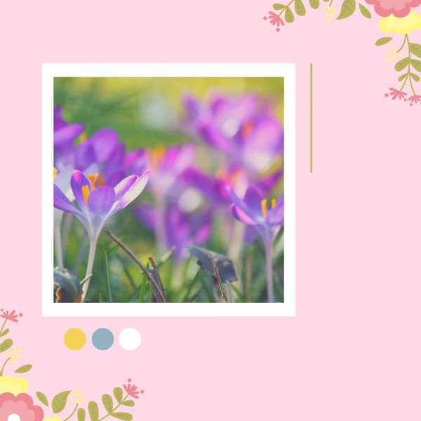 Music for Spring Rest - Easy Morning Music