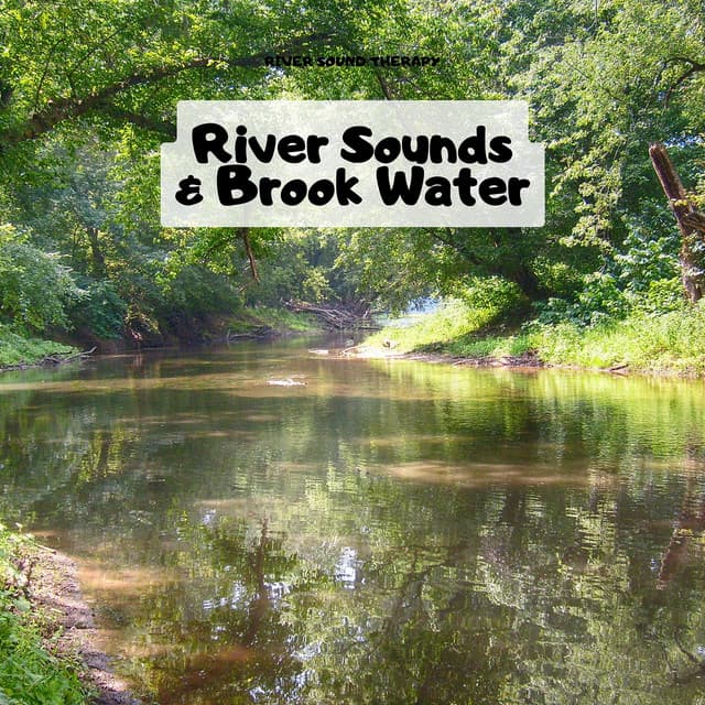 River Sounds & Brook Water - River Sound Therapy