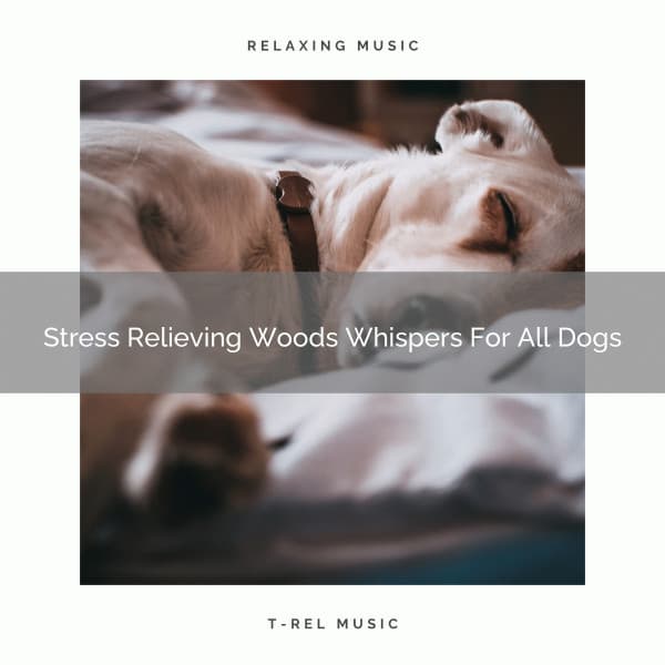 Stress Relieving Woods Whispers For All Dogs - Dog Relax