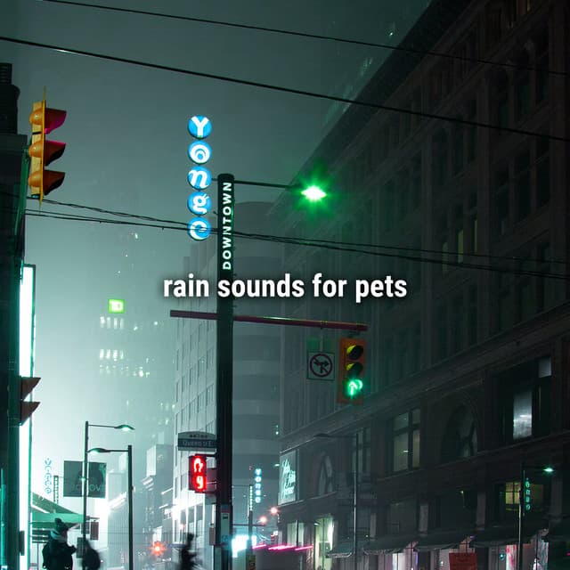 rain sounds for pets - Sound Effects Library