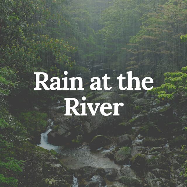 Rain at the River - Rainfall Place