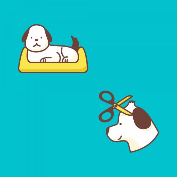 Jazz Violin - Ambiance for Dog Memories - Dog Anxiety Music