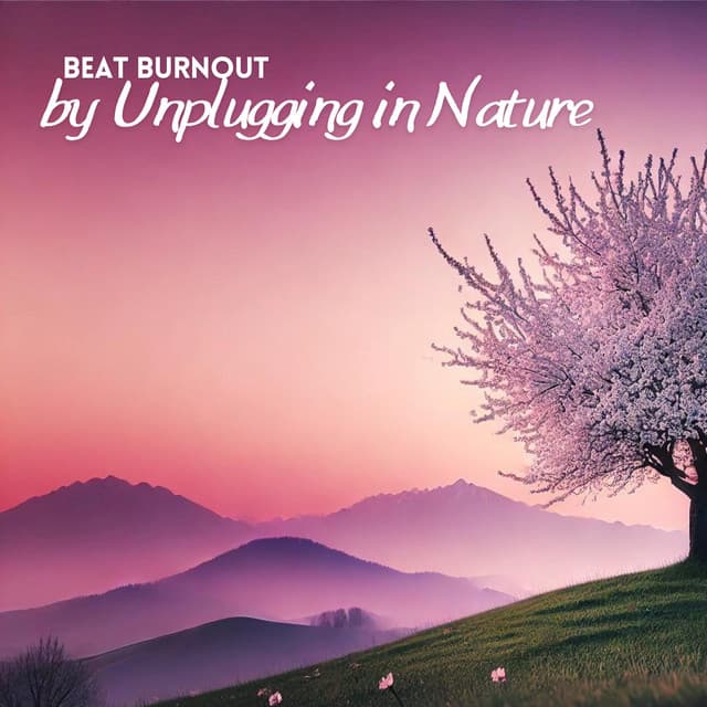 Beat Burnout by Unplugging in Nature - Mindfullness Meditation World