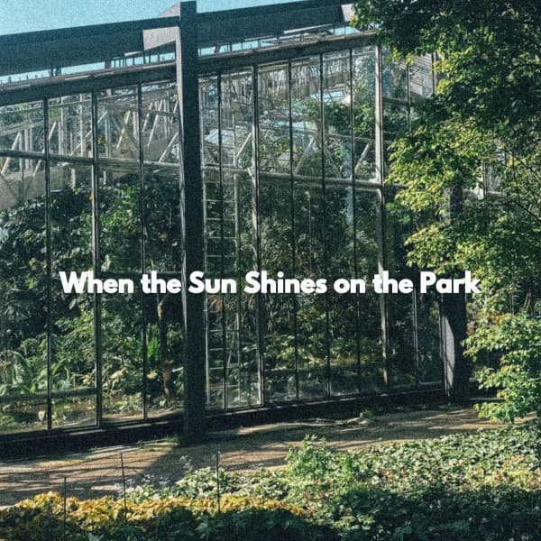 When the Sun Shines on the Park - Jazz Acustico