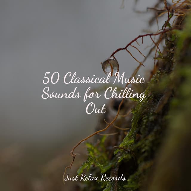 50 Classical Music Sounds for Chilling Out - Rising Higher Meditation
