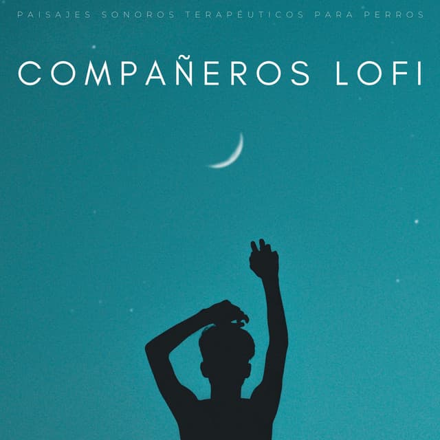 Compañeros Lofi: Paisajes Sonoros Terapéuticos Para Perros - Sonidos pop de baja fidelidad