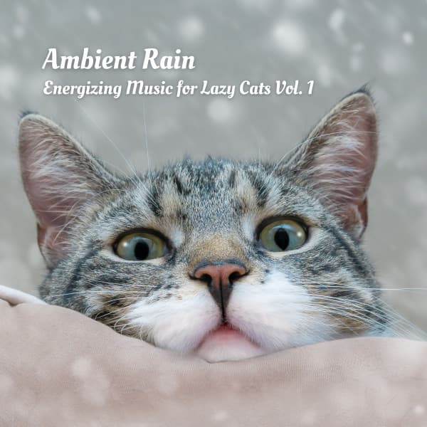 Ambient Rain: Energizing Music for Lazy Cats Vol. 1 - Soothing Cat Music
