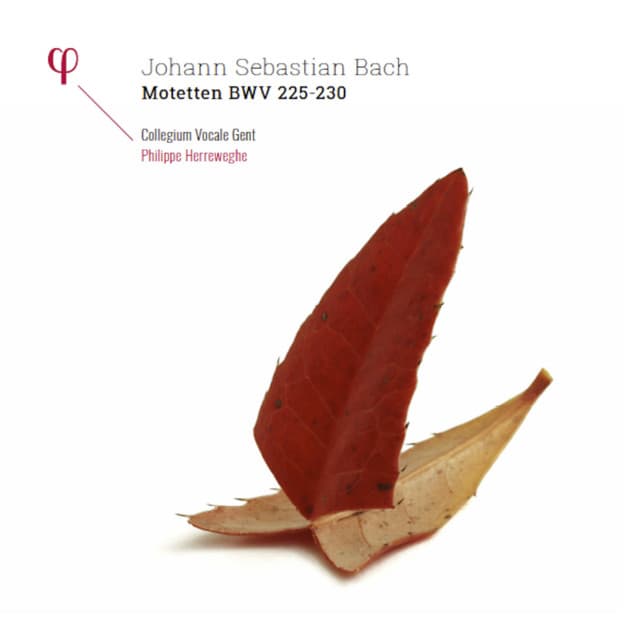 Bach: Motetten, BWV 225-230 - Johann Sebastian Bach
