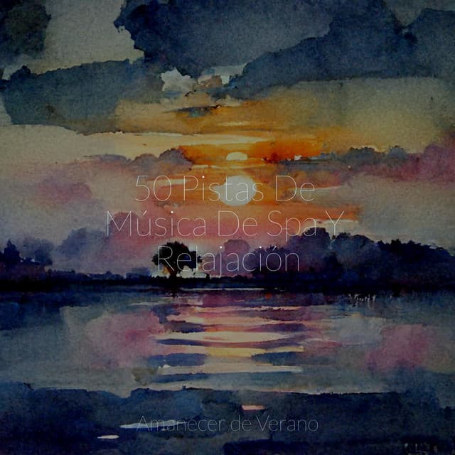 50 Pistas De Música De Spa Y Relajación - Música Instrumental Maestro
