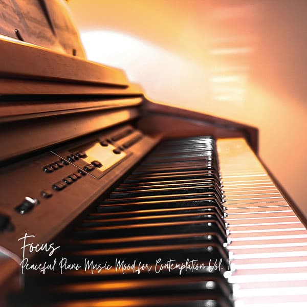 Focus: Peaceful Piano Music Mood for Contemplation Vol. 1 - Music for Focus and Concentration