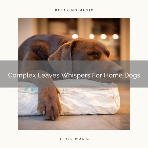 Complex Leaves Whispers For Home Dogs - Dog Total Relax