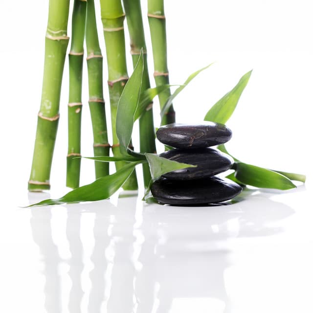 Serene Bamboo Haven: Zazen Meditation for Inner Peace and Clarity - Michael Freedom