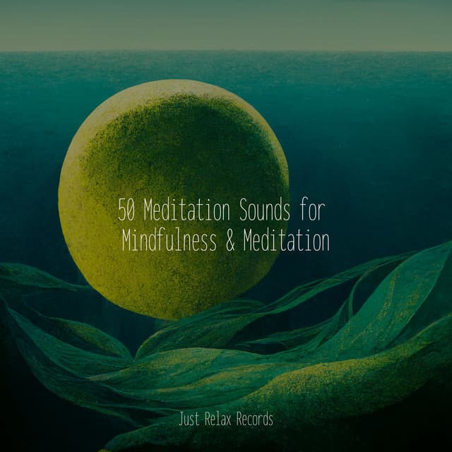 50 Meditation Sounds for Mindfulness & Meditation - Musica de Relajación Academy
