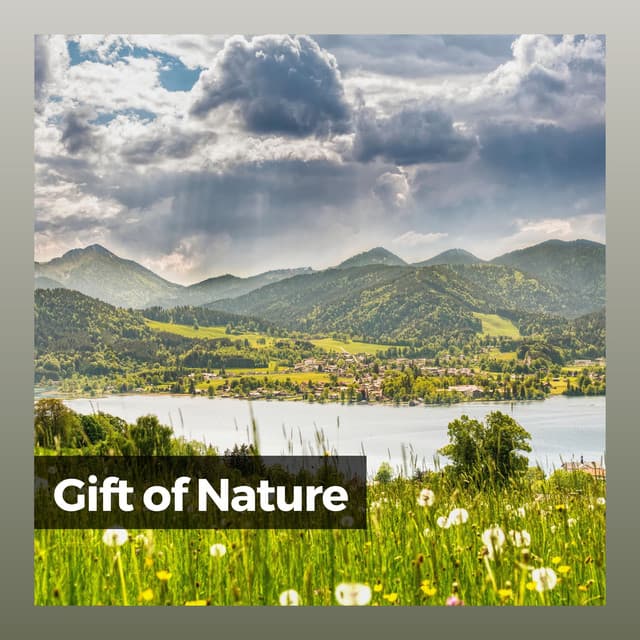 Gift of Nature - Essential Nature Sounds