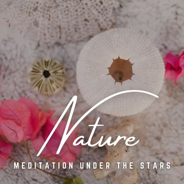 Meditation Under the Stars: Cosmic Serenity - Zen Master