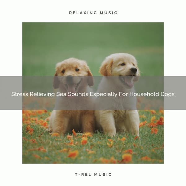 Stress Relieving Sea Sounds Especially For Household Dogs - Dog Total Relax