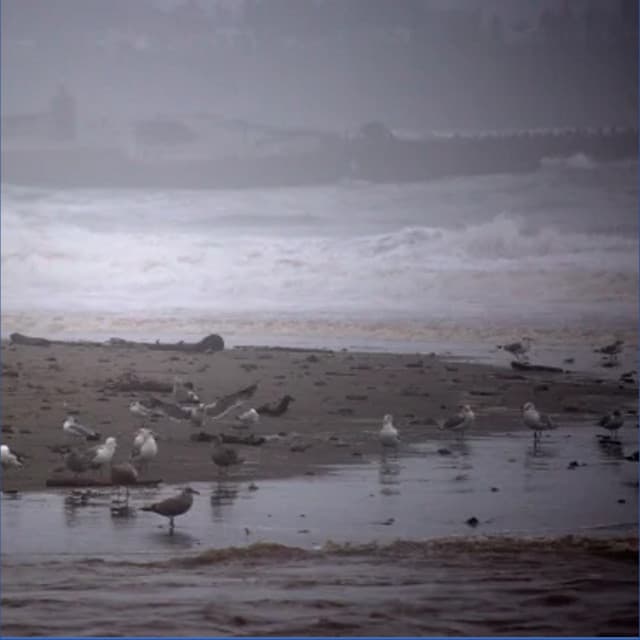 A Stormy Day at the Beach - Nature Sounds for Relaxation and Sleep
