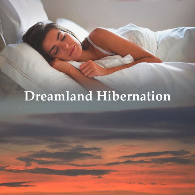Dreamland Hibernation - The Background Noise Company
