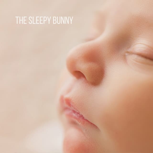 The Sleepy Bunny - Baby Sweet Dream