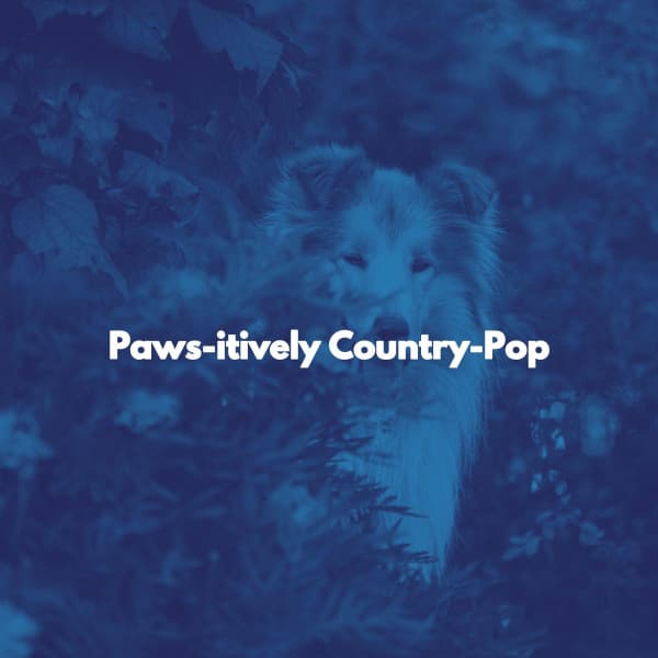 Paws-itively Country-Pop - Happy Jazz Beats