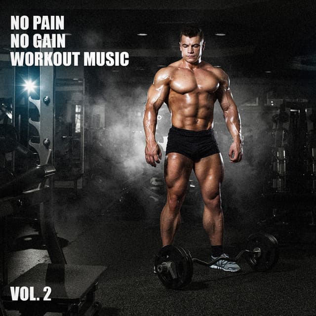 No Pain No Gain Workout Music, Vol. 2 - WORKOUT