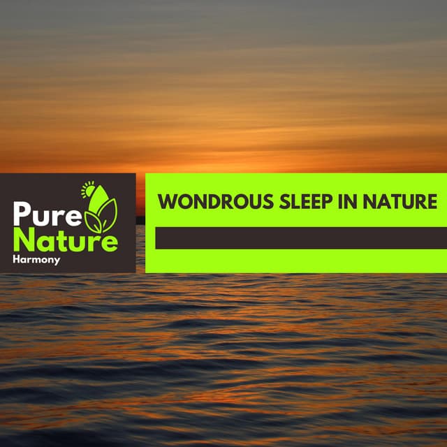 Wondrous Sleep in Nature - Nature Field Recordings
