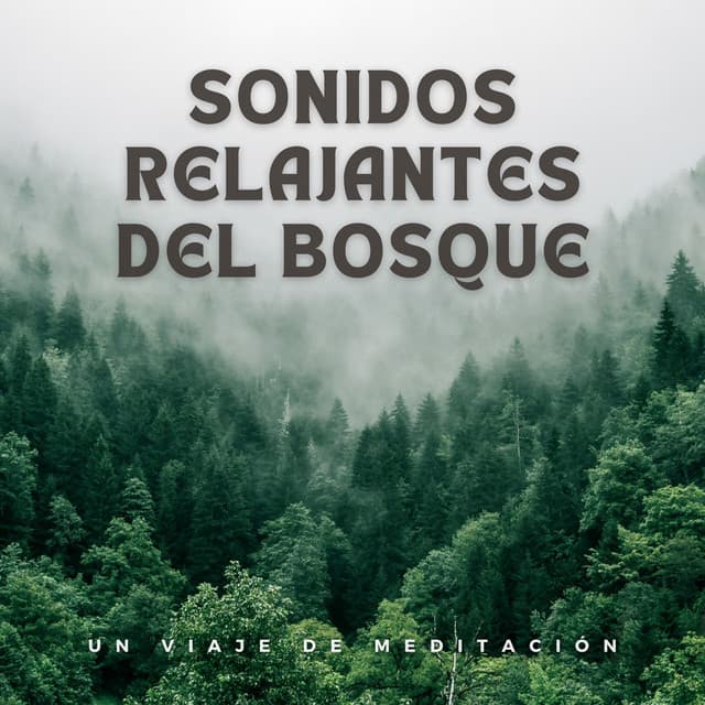 Sonidos Relajantes Del Bosque: Un Viaje De Meditación - Bosque ambiental