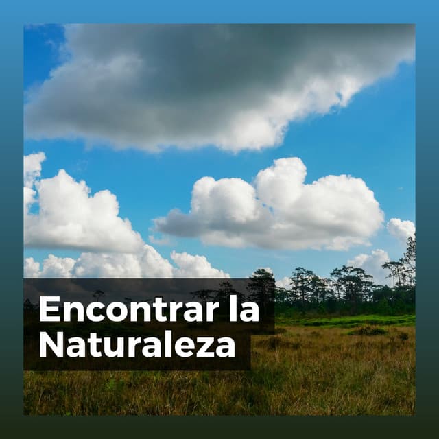 Encontrar la Naturaleza - Sonidos de la Naturaleza para Dormir